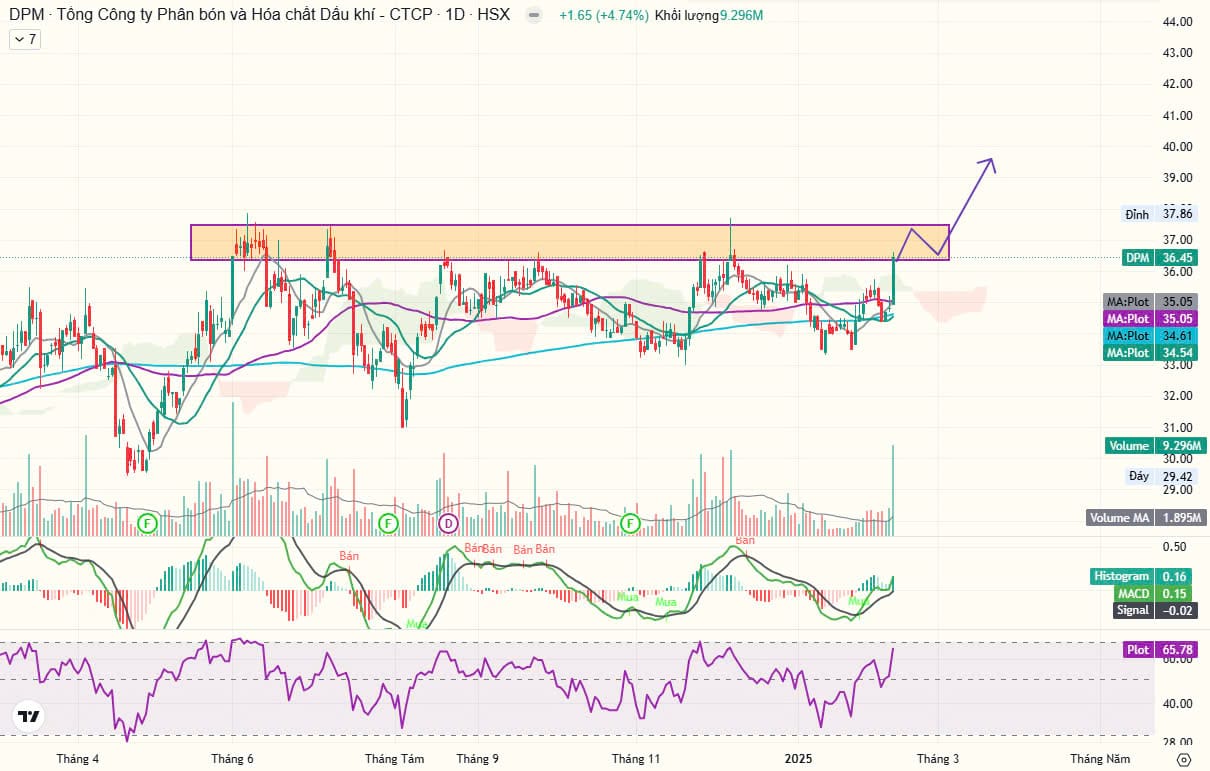 Biểu đồ và dự báo hướng đi Cổ phiếu DPM