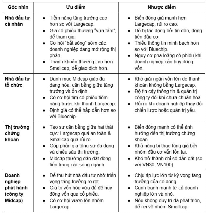 Phân tích ưu và nhược điểm của cổ phiếu Midcap