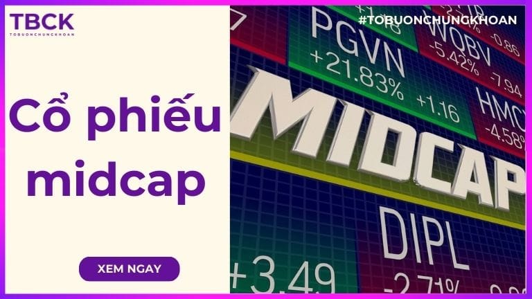 Cổ phiếu Midcap là gì trong chứng khoán? Có nên đầu tư hay không?