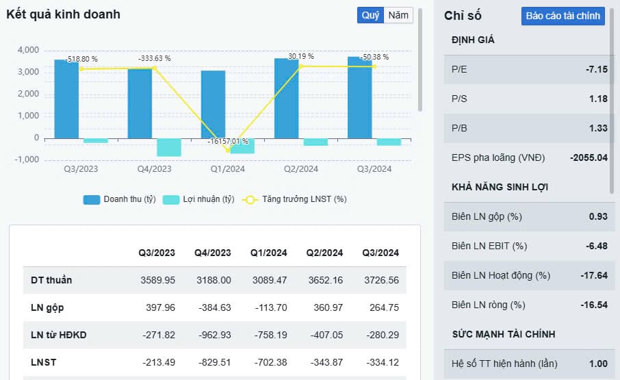 Kết quả Kinh doanh năm 2024 của MSR