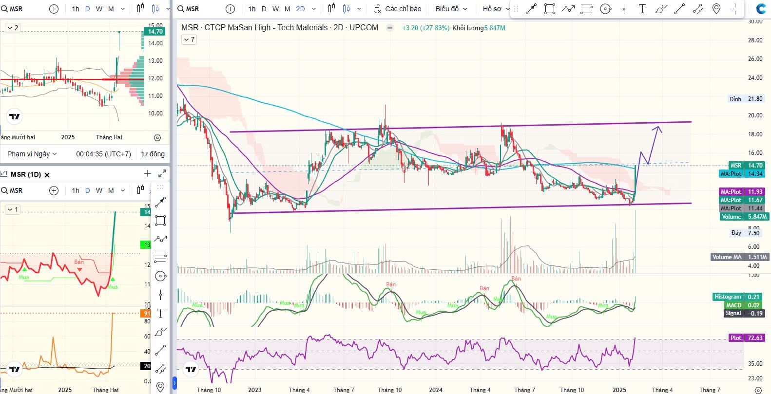 Triển vọng Cổ phiếu MSR 2025