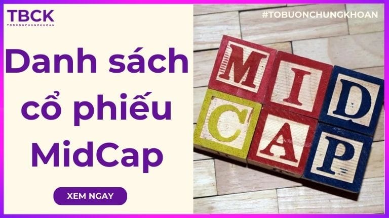 TOP 12 danh sách cổ phiếu Midcap tiềm năng 2026
