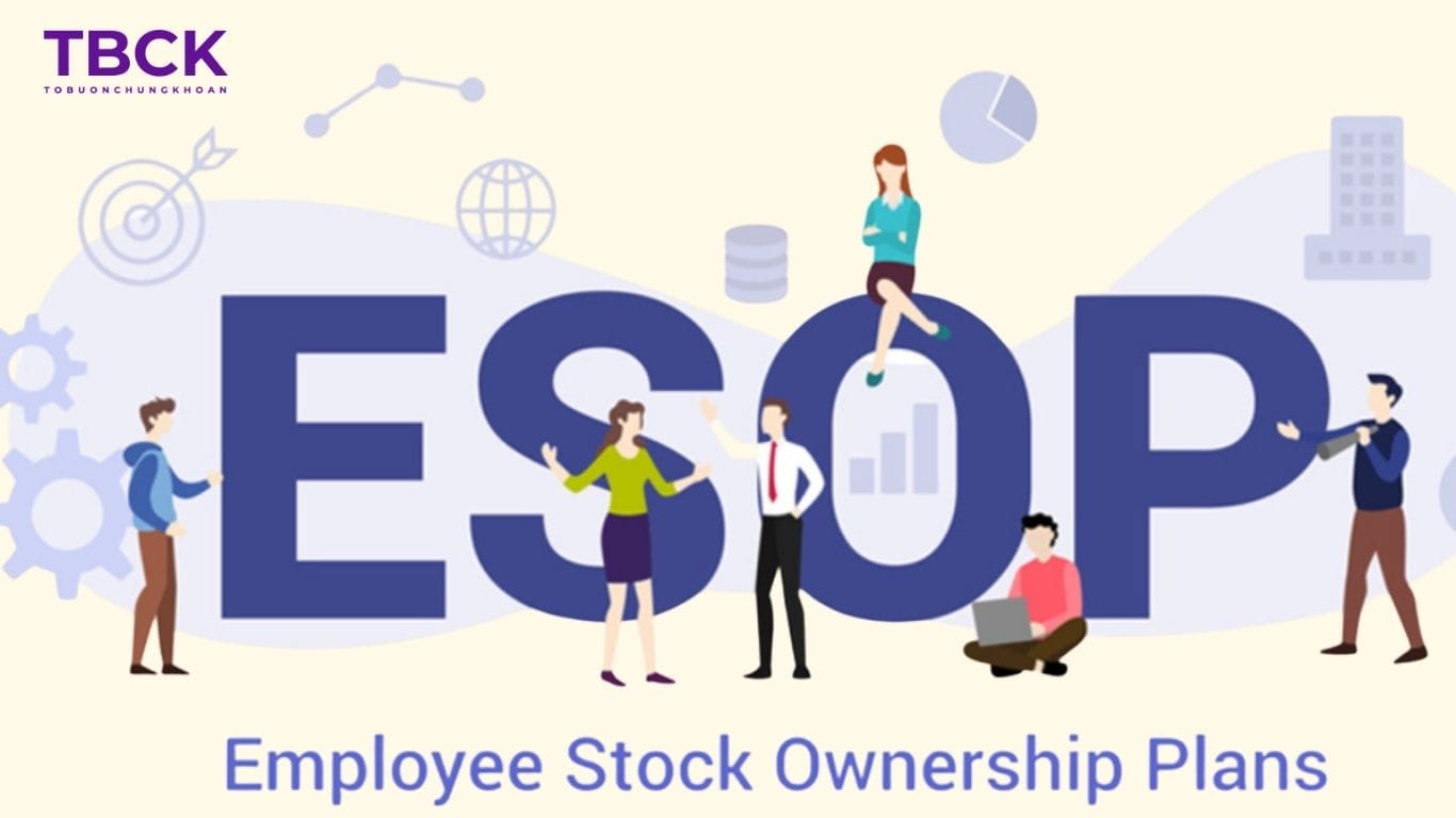 Phát hành cổ phiếu ESOP là gì?