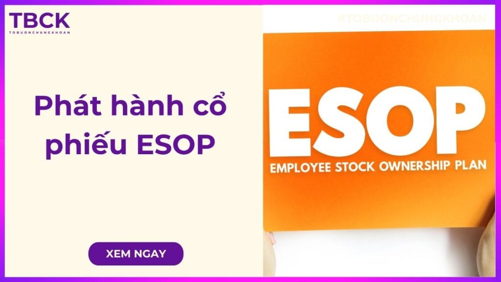 Phát hành cổ phiếu ESOP là gì? Quy chế, tầm ảnh hưởng và khả năng bán