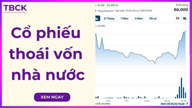 Danh sách cổ phiếu thoái vốn nhà nước tiềm năng 2026