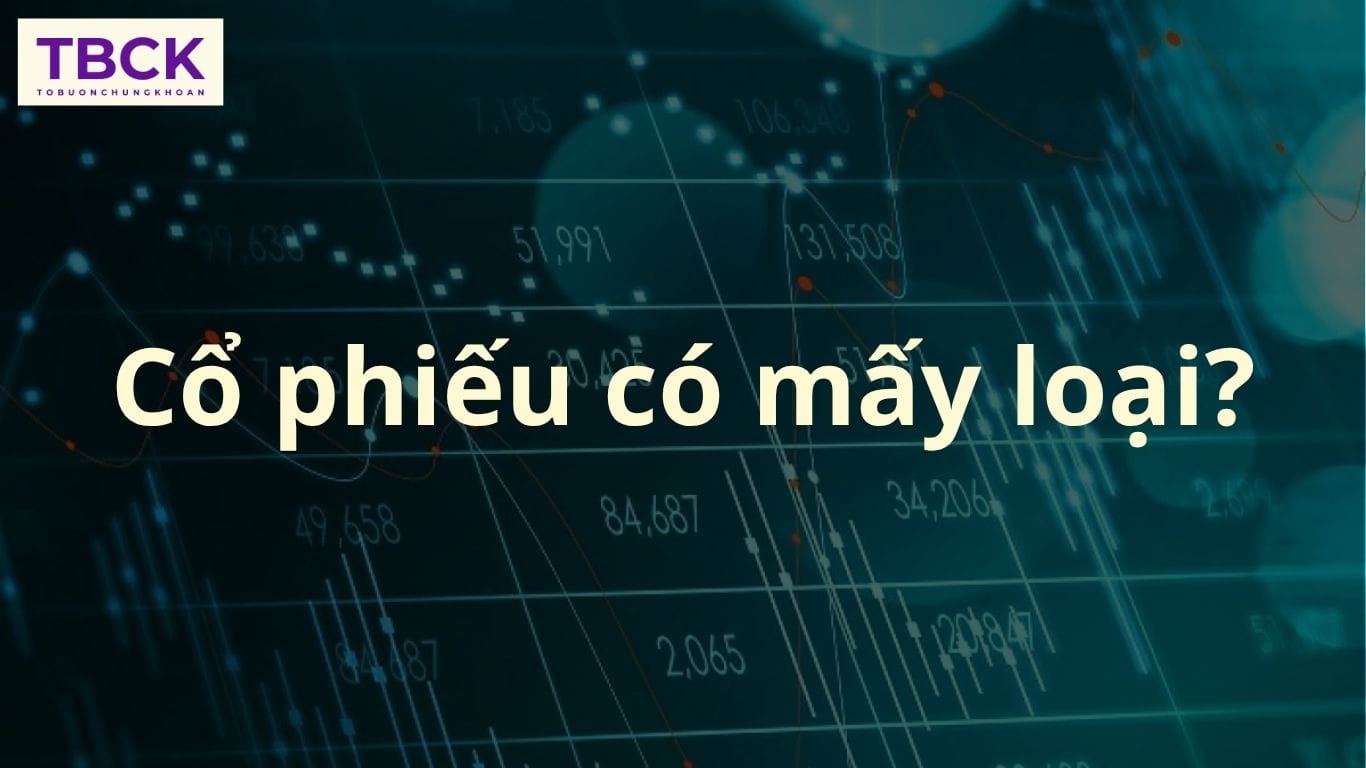 Cổ phiếu có mấy loại?