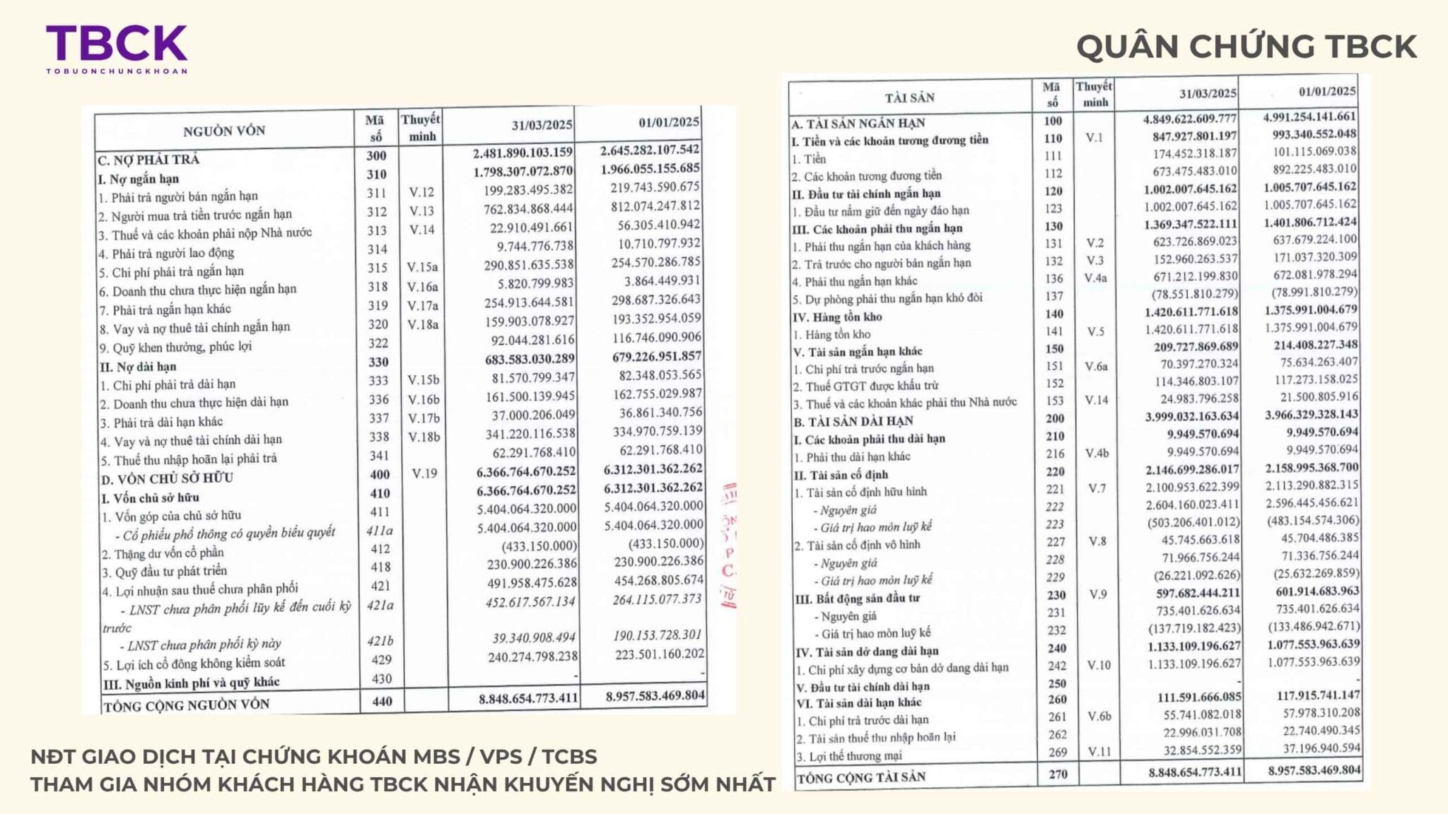 Bảng cân đối kế toán Quý 1.2025 của CEO