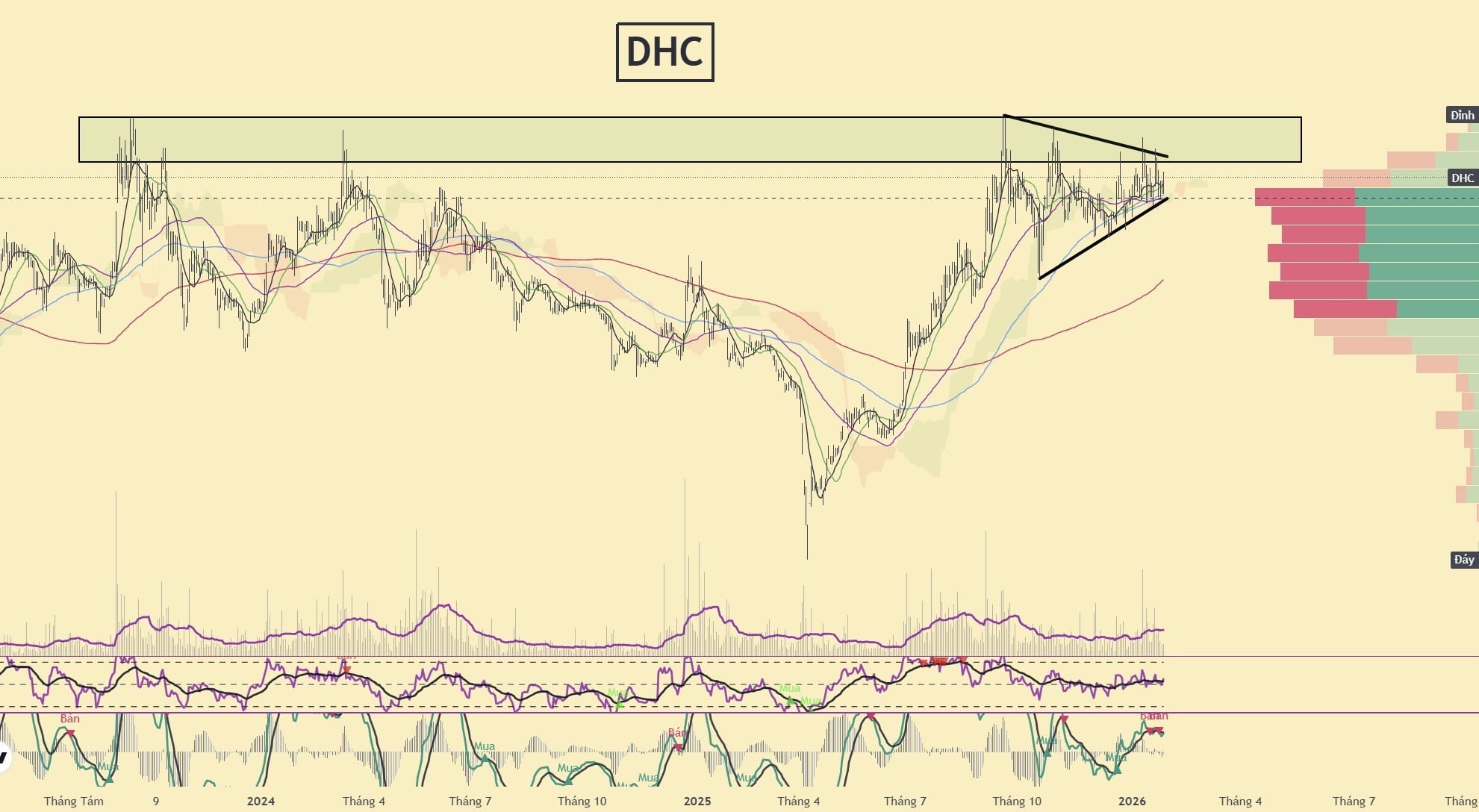 Biểu đồ Cổ phiếu DHC