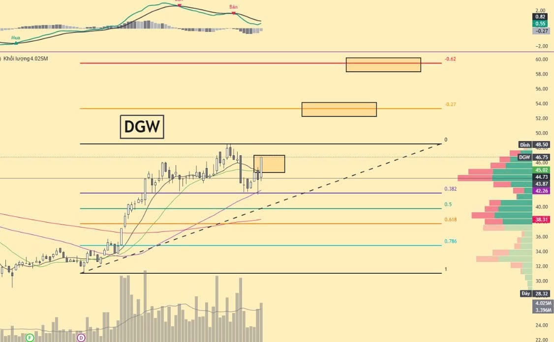 Biểu đồ cổ phiếu DGW
