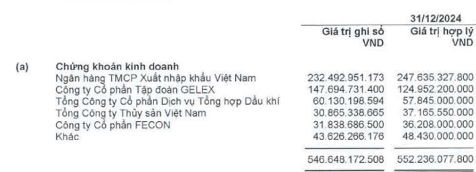 Danh mục tự doanh của cổ phiếu VSC