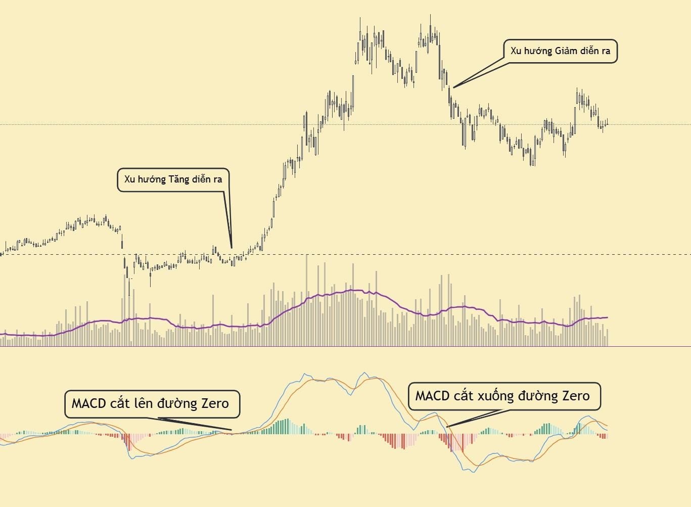 Đường MACD cắt lên đường Zero
