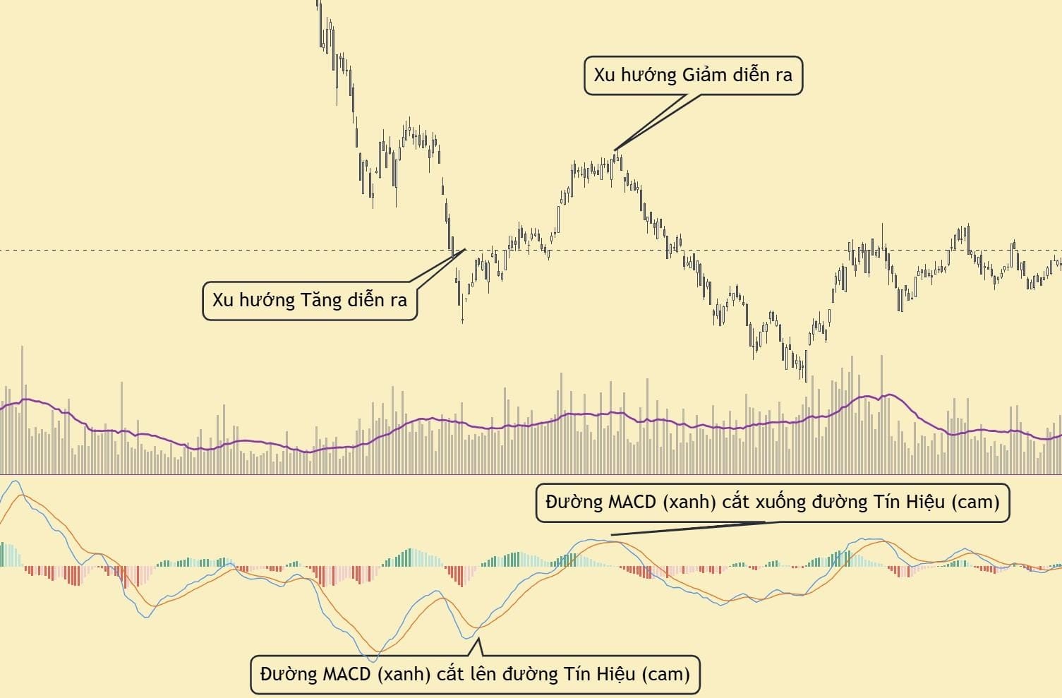 Đường MACD cắt đường tín hiệu