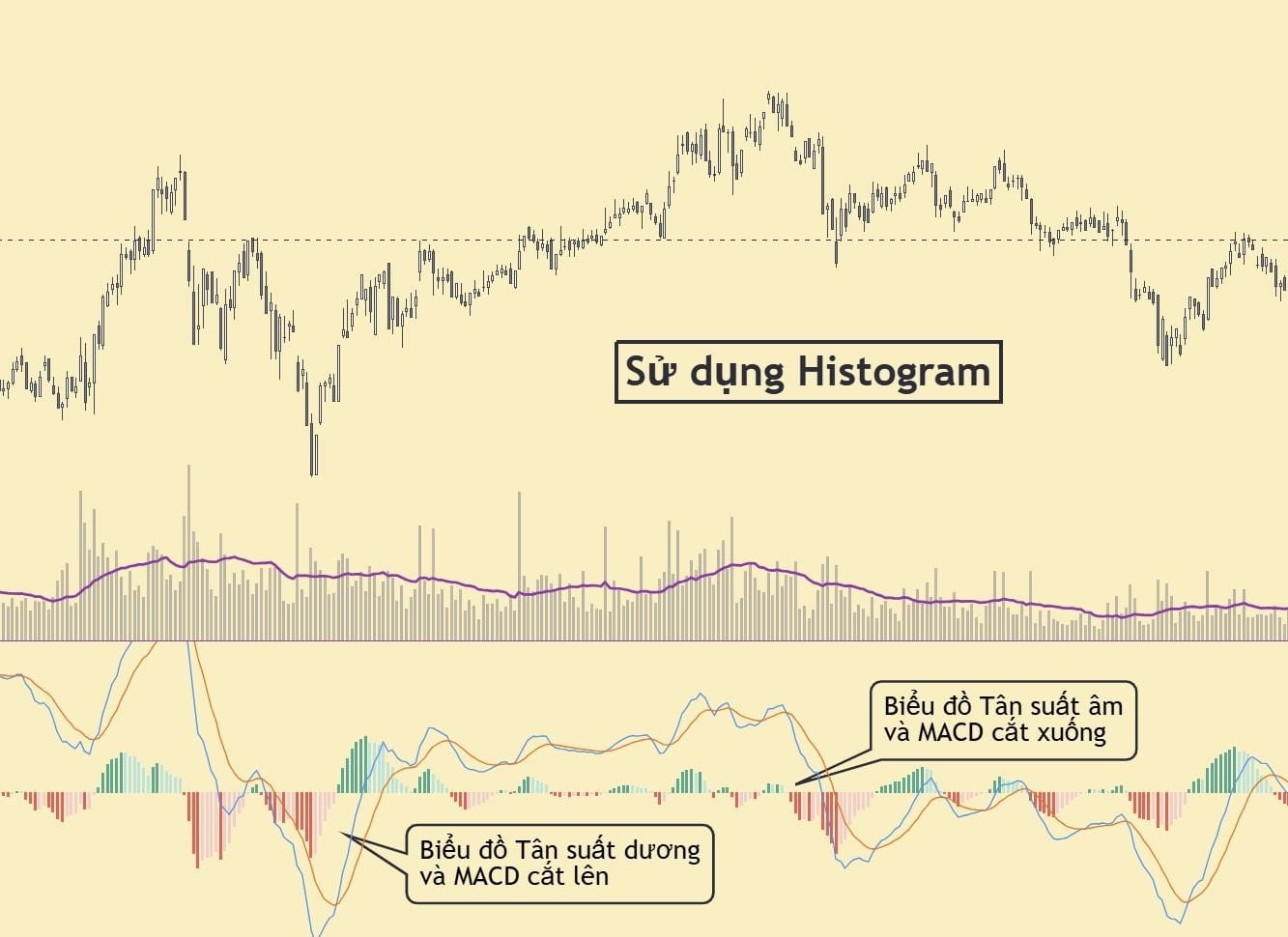 Sử dụng Histogram