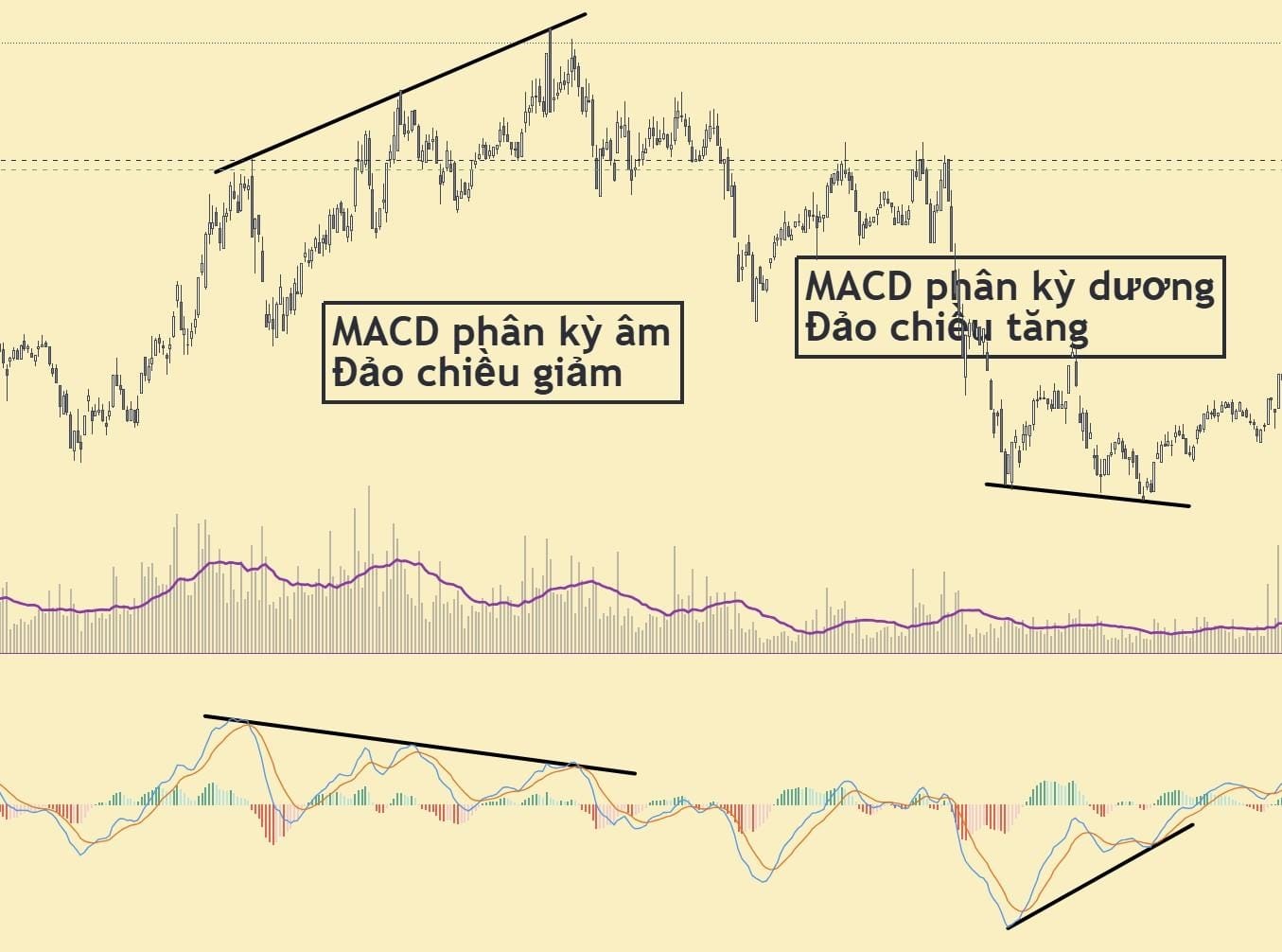 Chỉ báo MACD phân kỳ 
