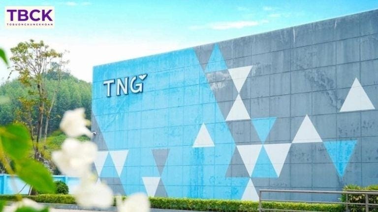 Cổ phiếu ngành dệt may TNG