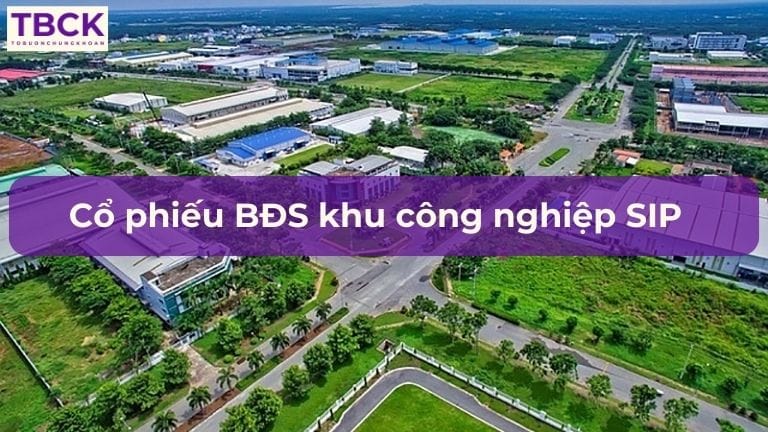 Cổ phiếu bất động sản khu công nghiệp SIP