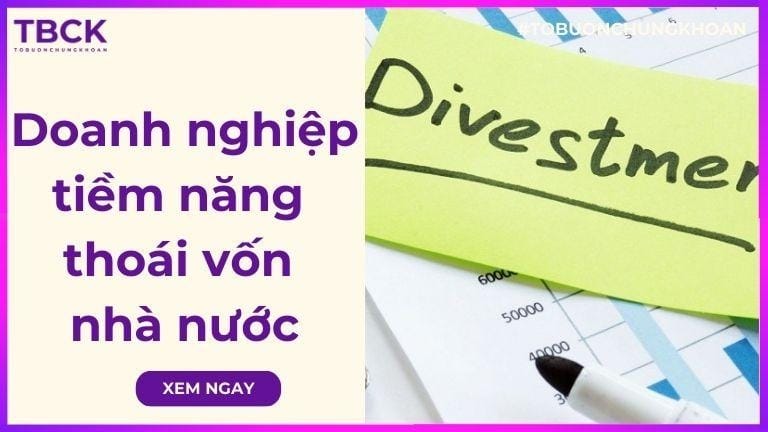 Các doanh nghiệp tiềm năng thoái vốn nhà nước 2026