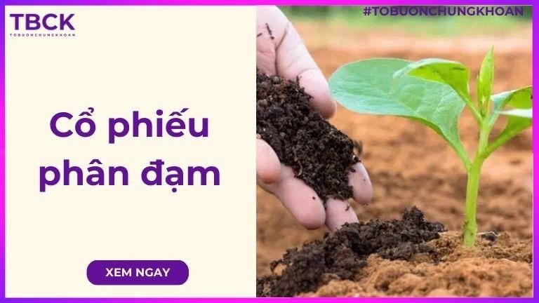 Danh sách cổ phiếu phân đạm tiềm năng 2026