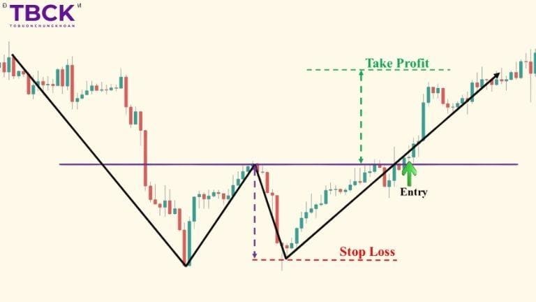 Đặc điểm mẫu hình 2 đáy