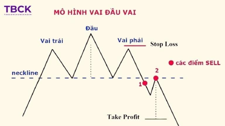 Mẫu hình vai đầu vai