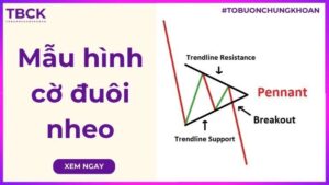 Mẫu hình cờ đuôi nheo chứng khoán là gì? Cách giao dịch hiệu quả