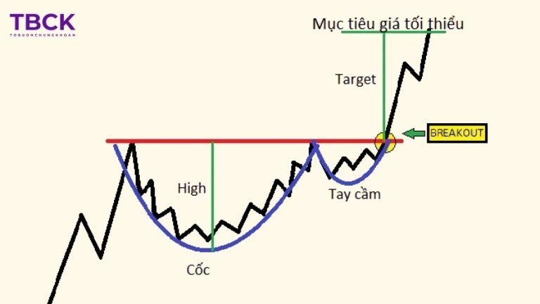 Các loại mô hình cốc tay cầm 