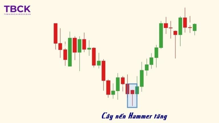 Hammer