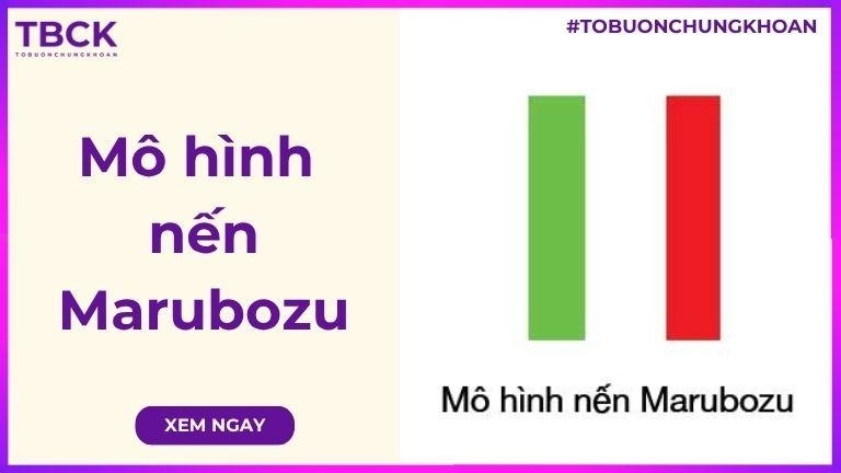 Mô hình nến Marubozu là gì? Ứng dụng Marubozu trong đầu tư chứng khoán