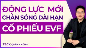 Nhận Định Cổ Phiếu EVF 2026: Chu kỳ tăng trưởng mới đã mở ra?
