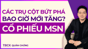 Nhận Định Cổ Phiếu MSN 2026: Bán lẻ tăng tốc, MSR mở khóa lợi nhuận